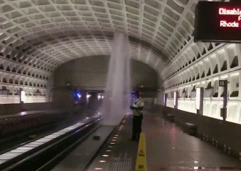 白宮都漏水了，你還能不重視防水！